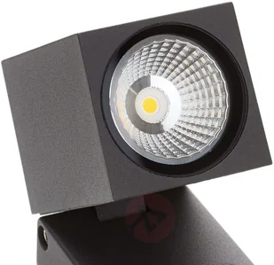 ACB ILUMINACIÓN Cala  reflektor zewnętrzny LED z czujnikiem ruchu - Lampy ogrodowe - miniaturka - grafika 5