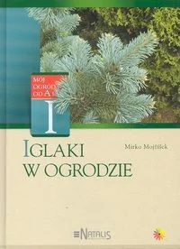 Iglaki w ogrodzie - Dom i ogród - miniaturka - grafika 2