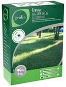 Trawy i trawniki - GEOLIA Nasiona trawy do miejsc zacienionych 1kg Geolia - miniaturka - grafika 1