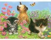 Kredki, ołówki, pastele i pisaki - Royal Brush cpn14 ołówek od numeru-zestaw, wielokolorowe, 8,75 X 11.75-inch CPBNK-14 - miniaturka - grafika 1