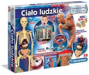 Clementoni Ciało ludzkie GXP-523099 - Mały naukowiec - miniaturka - grafika 2