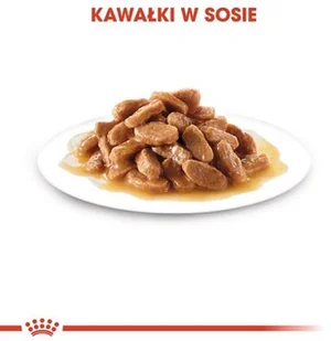 Royal Canin Size Maxi Puppy karma mokra w sosie dla szczeniąt, od 2 do 15 miesiąca życia, ras dużych saszetka 140g 16428 - Mokra karma dla psów - miniaturka - grafika 4