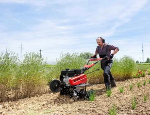 AL-KO Glebogryzarka MH 770 Spalinowa 113971 - Glebogryzarki - miniaturka - grafika 6