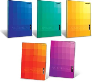 Top-2000 Zeszyt B5/120k linia oprawa twarda 91137 Shades A 4 - Zeszyty szkolne - miniaturka - grafika 2