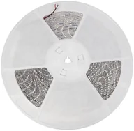 Taśmy LED - SpectrumLED Pasek Led 24w/5m 3528 60led/1m Cw 2 Lata Eco 1m Rolka 20m) W Silikonie WOJ+14424 - miniaturka - grafika 1