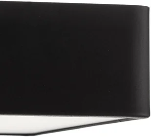 Euluna Lampa sufitowa Oro ze stali i szkła, czarna, 35cm - Lampy sufitowe - miniaturka - grafika 3