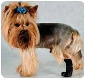 Grande Finale But Na Chorą Łapę R.1 - 4Cm - Specjalistyczne artykuły dla zwierząt - miniaturka - grafika 3