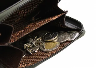 FOREVER YOUNG Portfel Skórzany Bułeczka FOREVER YOUNG Skóra Licowa Suwak 5157 - Portfele - miniaturka - grafika 11