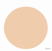 Podkłady do twarzy - KRYOLAN Podkład Ultra Fluid Foundation - LO - miniaturka - grafika 1