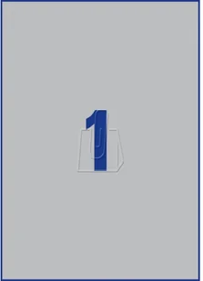 Avery Zweckform Etykiety znamionowe srebrne Zweckform A4 20ark./op. 210x297mm poliestrowe PROMOCJA! AVE-L6013-20 - Etykiety do drukarek - miniaturka - grafika 6