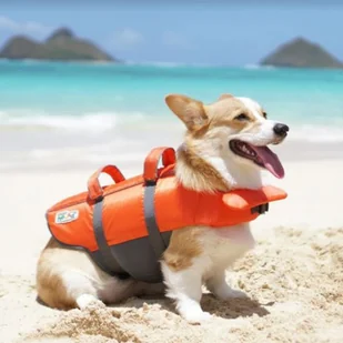 Outward Hound Kamizelka ratunkowa dla psa, rozmiar L, 2541 Warmako - Specjalistyczne artykuły dla zwierząt - miniaturka - grafika 2