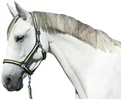 Akcesoria turystyczne - Kerbl KERBL jazdy konnej Hippo zestawy obroża, 34 325908 - miniaturka - grafika 1