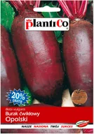 Nasiona i cebule - Plantico Burak ćwikłowy Opolski - miniaturka - grafika 1