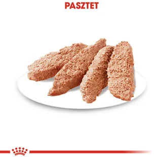 Royal Canin CCN Exigent 12x85g karma mokra pasztet dla psów dorosłych wybrednych 25441-uniw - Mokra karma dla psów Royal Canin CCN Exigent 12x85g karma mokra pasztet dla psów dorosłych wybrednych 25441-uniw - Mokra karma dla psów - miniaturka - grafika 6