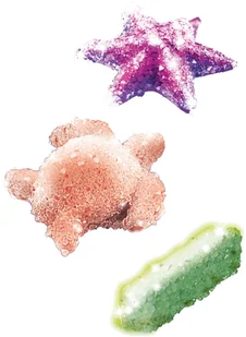 Clementoni Naukowa zabawa STWÓRZ WŁASNE KRYSZTAŁY CLE50069 - Mały naukowiec - miniaturka - grafika 3