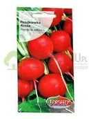 Nasiona i cebule - Torseed Rzodkiewka Krasa 10g - miniaturka - grafika 1