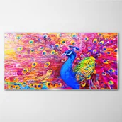 Obrazy i zdjęcia - PL Coloray Obraz Szklany Zwierzę Ptak Paw Pióra 100x50cm - miniaturka - grafika 1