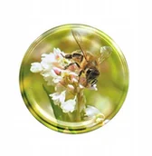 Akcesoria do hodowli zwierząt - Nakrętki na słoik, miód fi82 (50szt) - wzór ND57 - miniaturka - grafika 1