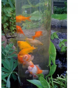 Outsideliving Ubbink Wieża dla rybek, 66 cm, akryl, 1372161 - Oczka wodne - miniaturka - grafika 5