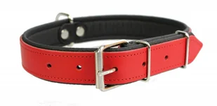 dr Seidla ZOO LESZCZ (PL) Soldina Dla Psa Skóra Naturalna 35 mm / 70 cm ZL0903 ZOO LESZCZ (PL) - Smycze dla psów - miniaturka - grafika 2