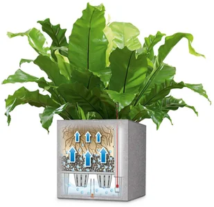 Lechuza Donica Canto Color Square 40 ALL-IN-ONE, szara, 13720 - Donice - miniaturka - grafika 5