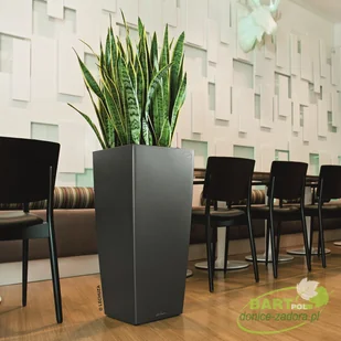 Lechuza Donica CUBICO Premium 30/30/56 espresso metalik CUBICO PREMIUM 30 ES - Donice - miniaturka - grafika 5