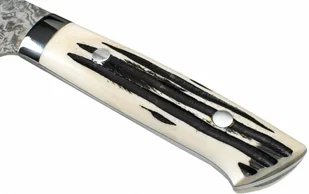 Mistrz Takeshi Saji Takeshi Saji WBB Ręcznie kuty nóż do obierania 9cm R-2 HB-451 - Noże kuchenne - miniaturka - grafika 2