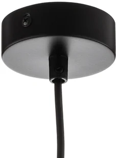 Euluna Lampa wisząca Teo ze szklanym kloszem, chrom - Lampy sufitowe - miniaturka - grafika 4