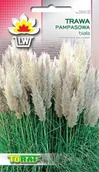 Nasiona i cebule - Toraf Trawa pampasowa biała nasiona 0,1g 00503 - miniaturka - grafika 1