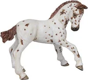 Figurki dla dzieci - Papo Figurka źrebak APPALOSA - 51510 - miniaturka - grafika 1