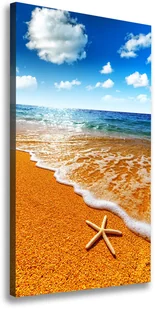 Foto obraz na płótnie Rozgwiazda na plaży - Obrazy i zdjęcia - miniaturka - grafika 6