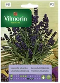 Nasiona i cebule - Vilmorin Nasiona lawenda - miniaturka - grafika 1