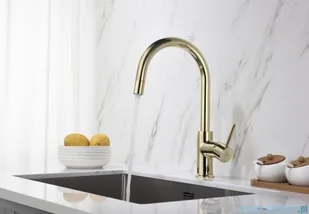 Blue Water Plaza bateria kuchenna z wyciąganą wylewką złota 5901730615804 - Baterie umywalkowe - miniaturka - grafika 9