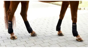 Kerbl Ochraniacze dla konia, 4 szt., czarne, Cob, 320132 - Akcesoria jeździeckie - miniaturka - grafika 4