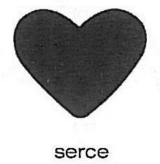 Craft DP Dziurkacz ozdobny 2,5 cm Serce - Przybory szkolne - miniaturka - grafika 2