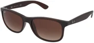 Okulary przeciwsłoneczne - Ray Ban Andy RB4202 607313 - miniaturka - grafika 1