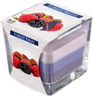 Świece - Bispol Świeczka w szkle Tęcza Owoce leśne, 170 g (św8) - miniaturka - grafika 1