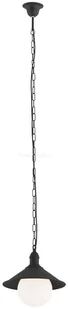 Argon ERBA BIS 3285 lampa wisząca 1x60W E27 - Lampy ogrodowe - miniaturka - grafika 2