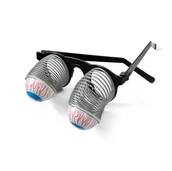 Literatura popularno naukowa dla młodzieży - Okulary wypadające oczy - miniaturka - grafika 1