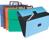 Teczki i skoroszyty - Exacompta Kieszenie M dehnb R 12 °F dokumentów tak 55630E - miniaturka - grafika 1