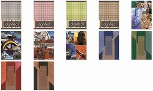 Dan-Mark Zeszyt A5 96 kartkowy w kratkę mix okładek) - Zeszyty szkolne - miniaturka - grafika 3