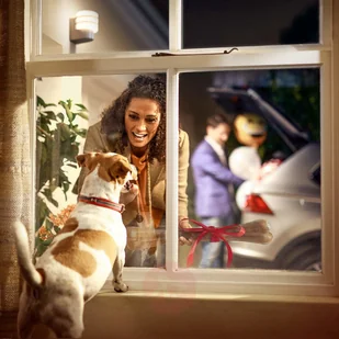 Philips Hue oprawa zewnętrzna Tuar - Systemy inteligentnych domów - miniaturka - grafika 3