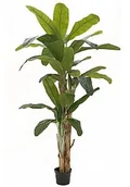 Sztuczne drzewka - Europalms EUROPALMS Drzewo bananowe, sztuczna roślina, 240 cm 82509541 - miniaturka - grafika 1