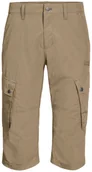 Bielizna sportowa męska - Jack Wolfskin Spodnie DESERT VALLEY 3/4 PANTS M sand dune - 48 1505391-5605 - miniaturka - grafika 1