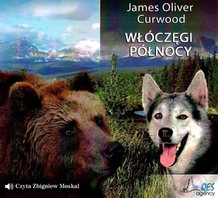 Włóczęgi Północy - Audiobooki dla dzieci i młodzieży Włóczęgi Północy - Audiobooki dla dzieci i młodzieży - miniaturka - grafika 2