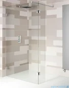 Kabiny prysznicowe - Riho Scandic NXT X402 kabina prysznicowa Walk In 100x200cm chrom GX00752C0 - miniaturka - grafika 1