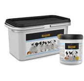 Mleko dla kociąt i szczeniąt - BELCANDO BELCANDO Mleko dla szczeniąt 0.5 kg - miniaturka - grafika 1