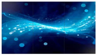 Samsung UH55F-E LH55UHFHLBB - Monitory reklamowe i wyświetlacze - miniaturka - grafika 8