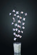 Pozostałe oświetlenie - Hellum dekoracja wewnętrzna, plastik 300055 - miniaturka - grafika 1