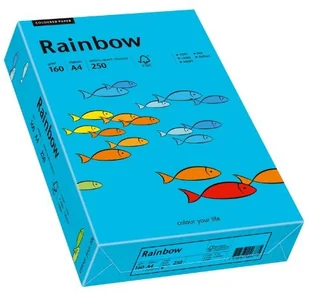 Papyrus Papier Rainbow A4 160g niebieski R87 88042747 - Papier do drukarek - miniaturka - grafika 2